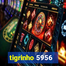 tigrinho 5956